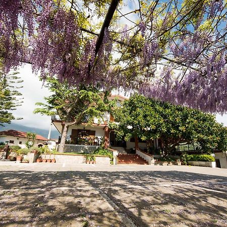 Arcobaleno Bed & Breakfast Capaccio Exterior photo