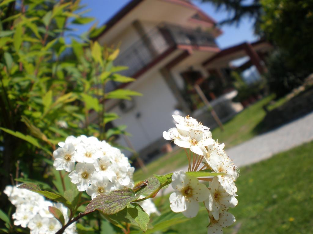 Arcobaleno Bed & Breakfast Capaccio Exterior photo